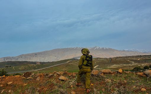 На Голанских высотах схватили сирийского шпиона