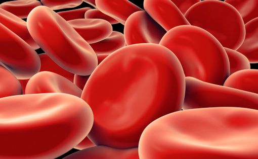 Анализ крови может рассказать о продолжительности жизни