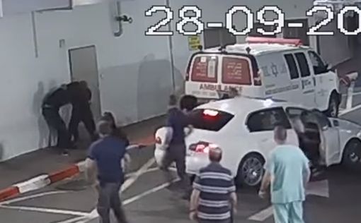Видео: избиение охранников в приемном покое больницы Ихилов