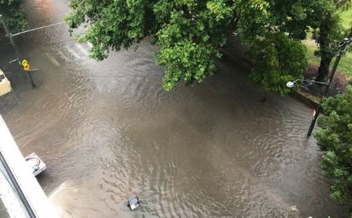 Мощный ливень в Сиднее оставил тысячи жителей без света