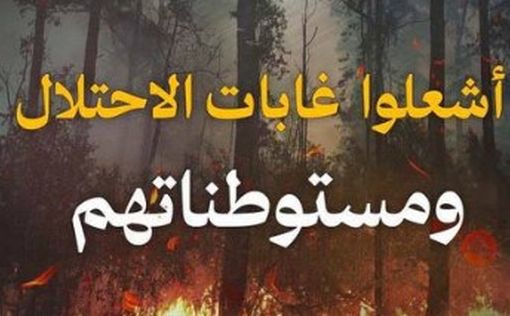 Пожары – результат поджога?