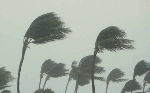 Ураган 4-й категории "Берил", принесет значительные разрушения 1 июля