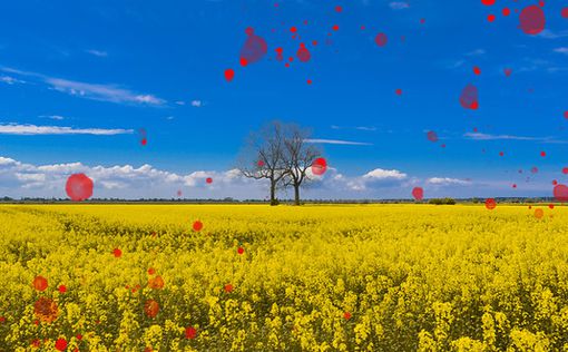 Семь дней войны. Потери Украины