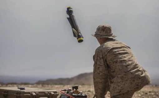 барражирующие боеприпасы