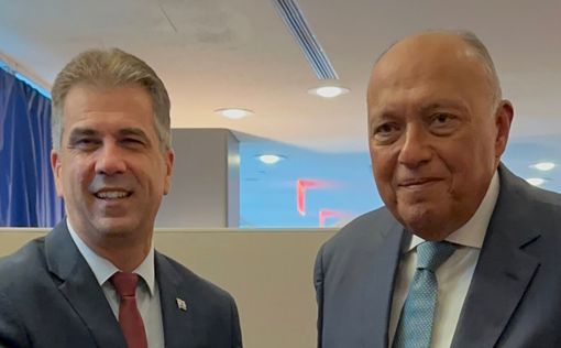 Глава МИД Эли Коэн встретился с новым послом  США в Израиле Джеком Лью