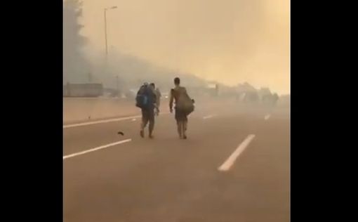 Министерство транспорта опубликовало список перекрытых дорог
