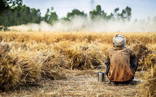 Участник учебной поездки индийских фермеров пропал без вести в Израиле