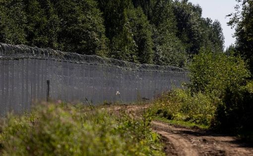 Литва  закончила строительство забора на границе с Беларусью