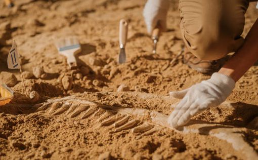 В Германии археологи обнаружили самые древние человеческие следы