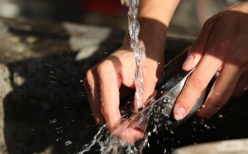 Совместное мытье посуды делает пару счастливее на 20%