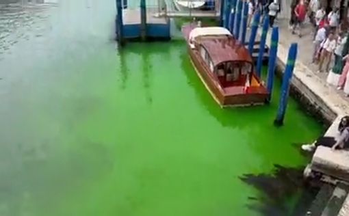 Вода в Гранд-канале в Венеции стала зеленой
