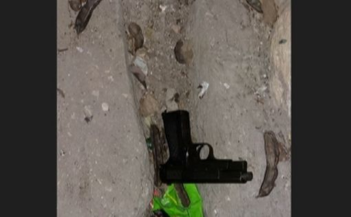 В нападении участвовали три террориста