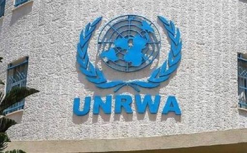 ООН изо всех сил пытается обратить внимание на UNRWA