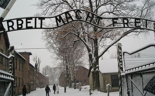 В Германии состоится суд над 95-летним санитаром Освенцима