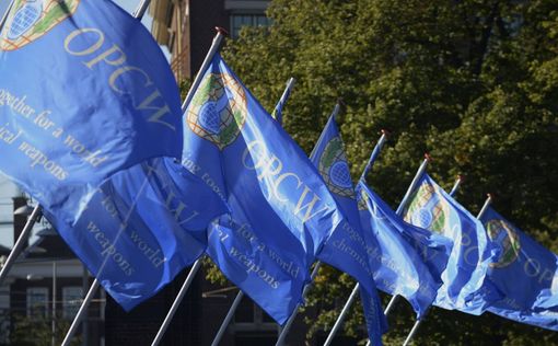 РФ, Иран и САР против публикации результатов анализов ОЗХО