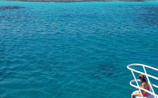 Египет закрыл пляжи после нападению акулы на туристку