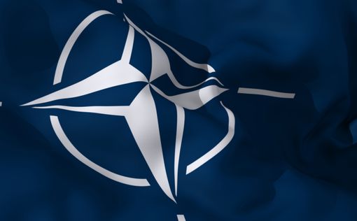 НАТО проведёт минуту молчания в память о погибших в Париже
