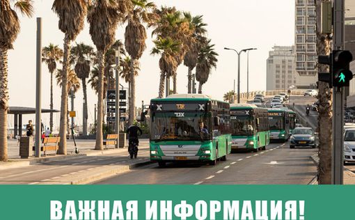 “Эгед”: работа общественного транспорта в день выборов