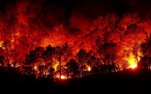 Огненный ад в Греции: Израиль поможет стране в тушении пожаров