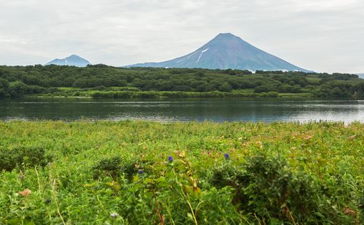 Японская бизнес-миссия впервые посетила Курилы