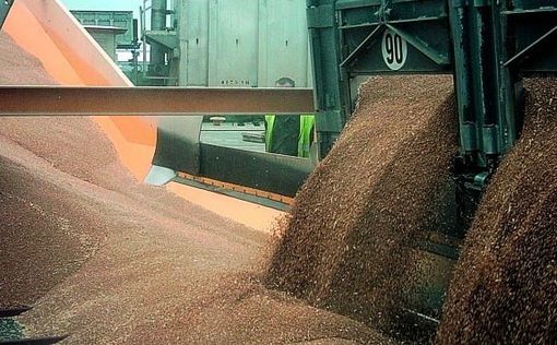 Россия согласилась продлить "зерновое соглашение" на 60 дней