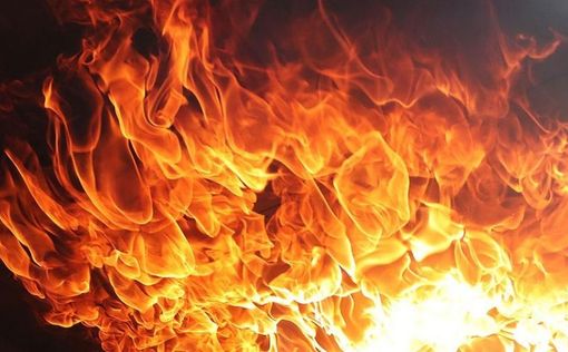 Возле Бейтар-Илит вспыхнул пожар