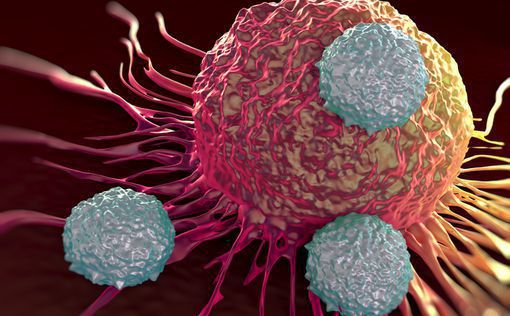 Ученые нашли, как "выключить" раковую клетку