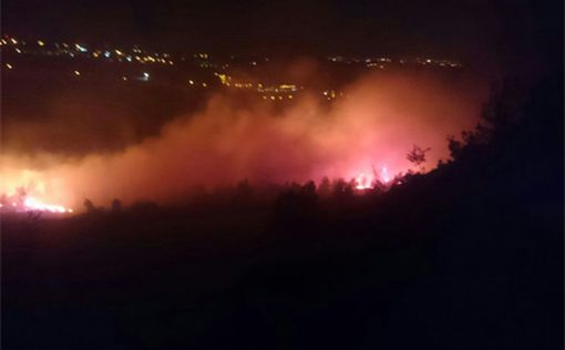 Пожар в иерусалимских лесах, огонь приблизился к шоссе №1