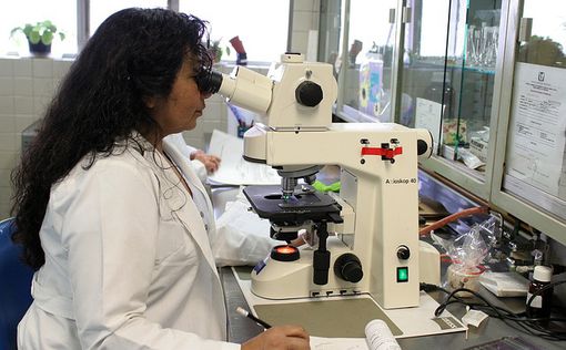 В больнице "Шиба" начались испытания вакцины против лихорадки Западного Нила