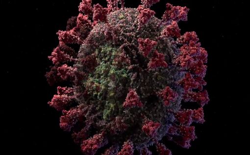 Впечатляющее видео: подробная модель частицы COVID-19