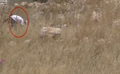 Солдат поджегший палестинское поле отстранен от службы