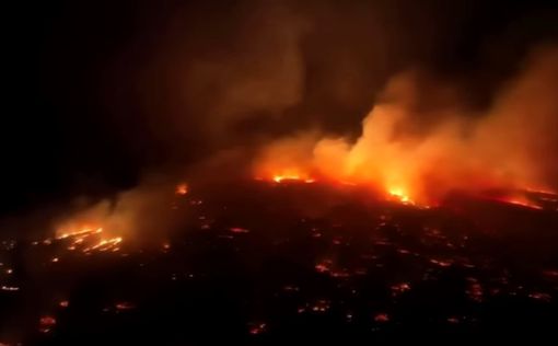 Пожар на Гавайях: число жертв выросло до 80 человек - видео