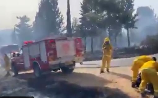 Пожар в окрестностях Иерусалима взят под контроль: видео