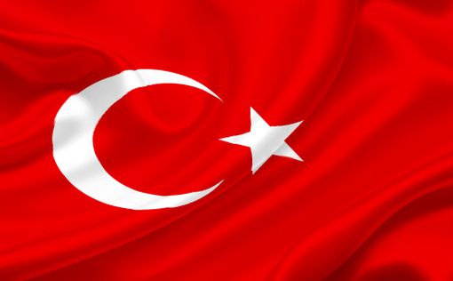 Турция может стать членом таможенного союза