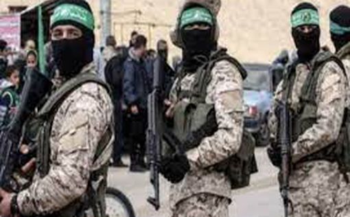 Египет предложил перемирие - ХАМАС согласился