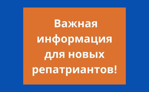 Кто виноват и что делать? Вопросы и ответы для новых репатриантов