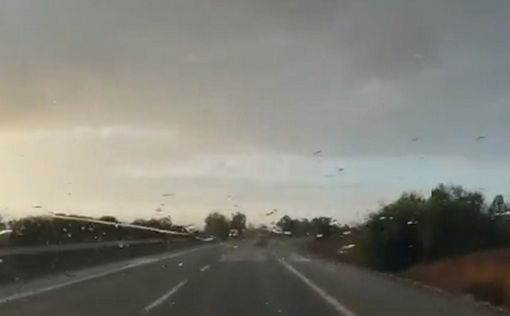 Конец августа: дождь в Израиле