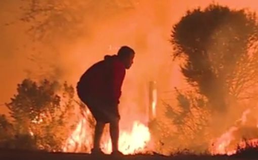 Видео: американец ринулся в огонь, чтобы спасти кролика
