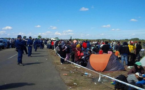 Венгрия: Хорватия подталкивает мигрантов к преступлениям