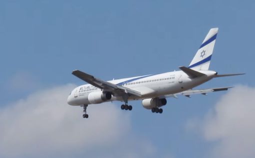 В El Al объяснили ситуацию с ультраортодоксами