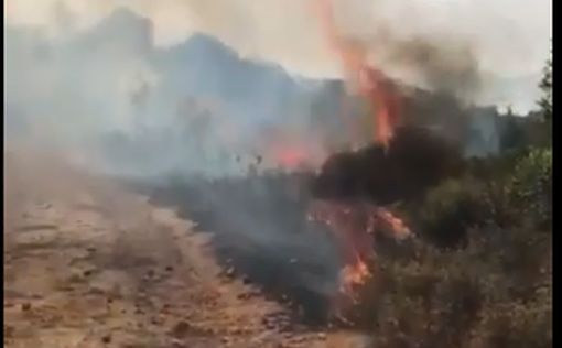 В Ариэле вспыхнул масштабный лесной пожар