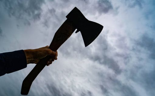 Два араба с топором ворвались на еврейскую ферму в Биньямине