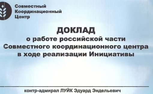 Обнародован секретный доклад для Кремля о том, как РФ срывала зерновую сделку