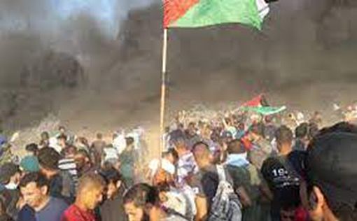 Столкновения возле Рамаллы и Калькилии: ранены шестеро палестинцев
