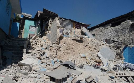 Кот выжил, проведя 16 дней под завалами после землетрясения
