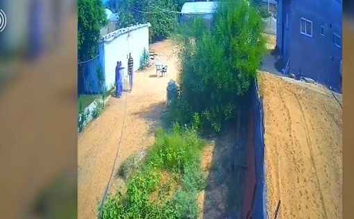 Бесчеловечно: реакция родственников семьи Бибас на видео