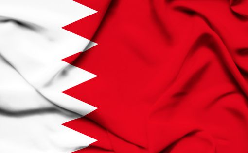 Бахрейн. Массовый арест активистов от оппозиции