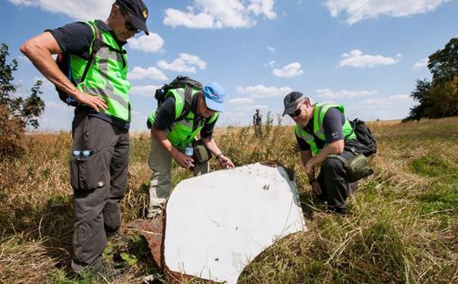 Нидерланды нашли фрагмент "Бука" на месте падения МН17