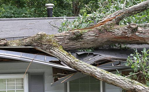 14 человек погибли в результате торнадо и шторма в Миссисипи