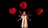 Знаменитый Театр Momix представит в Израиле волшебный балет ALICE | Фото 2